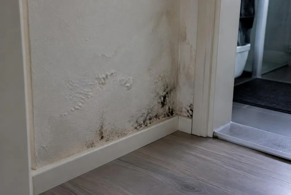 Lekdetectie Kortenhoef – vochtplek met schimmel op een muur